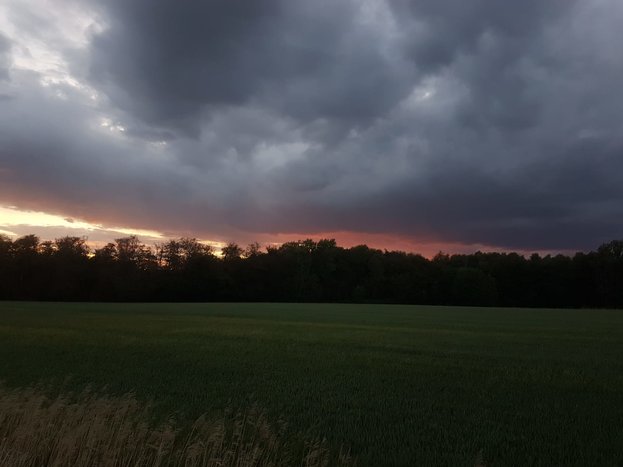 IMG-20190608-WA0101.jpg