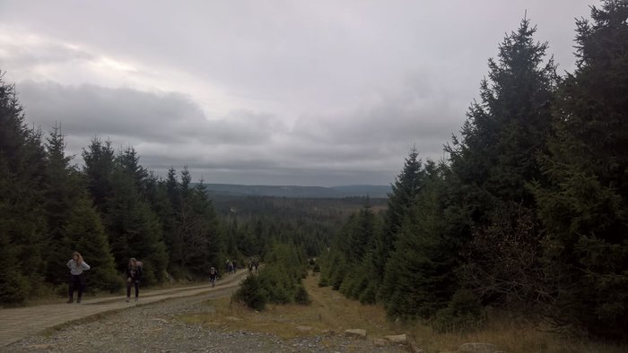 IMG-20171021-WA0031.jpg IMG-20171021-WA0031.jpg