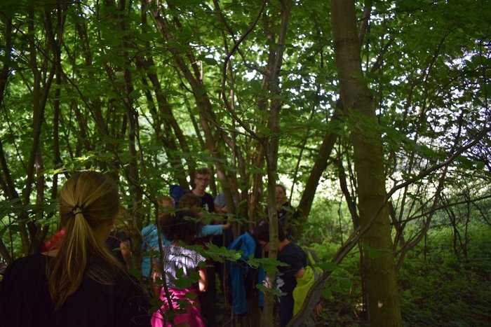 DSC_1147.JPG DSC_1147.JPG